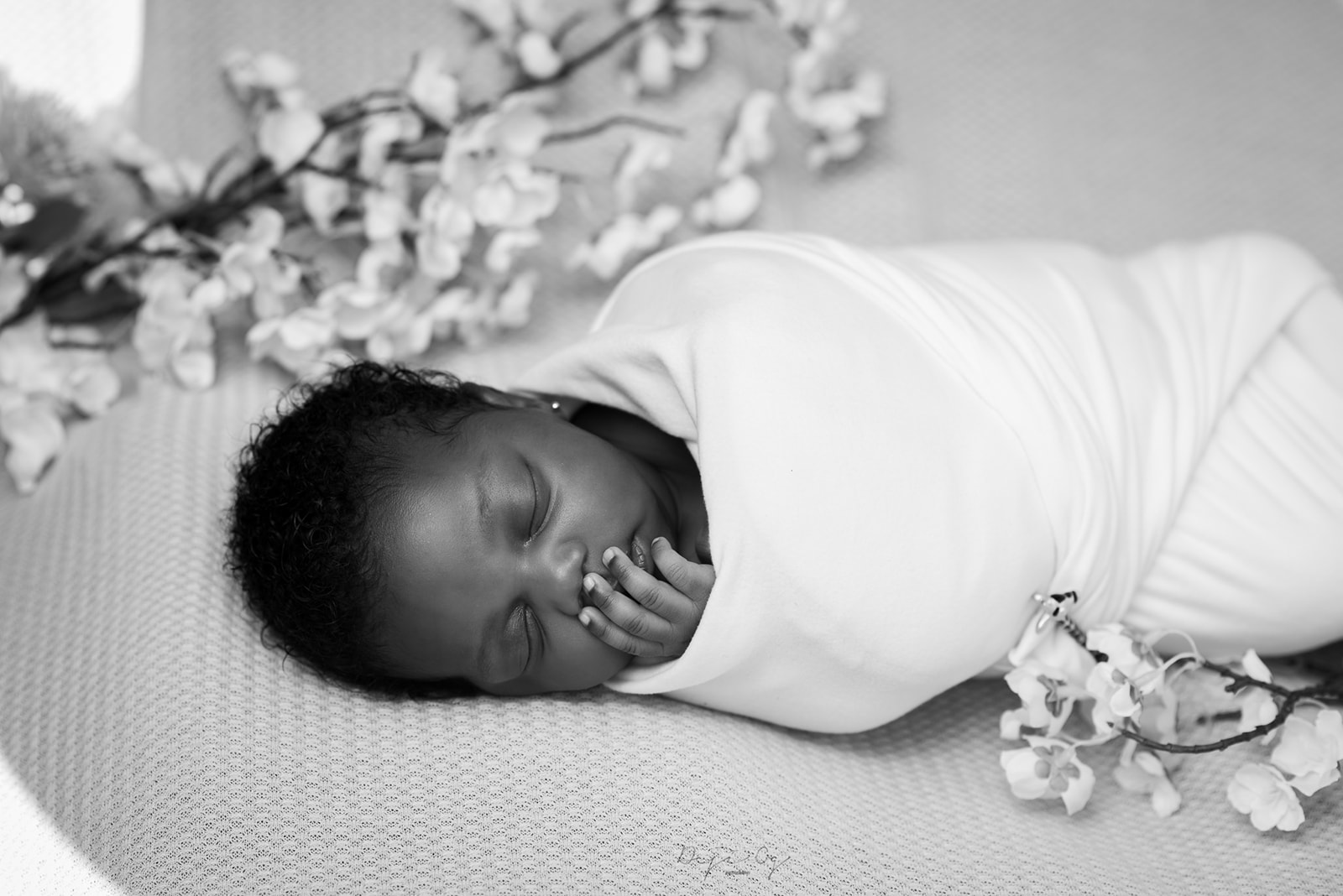 Capturing Precious Moments: Tips for a Memorable Baby Photoshoot 